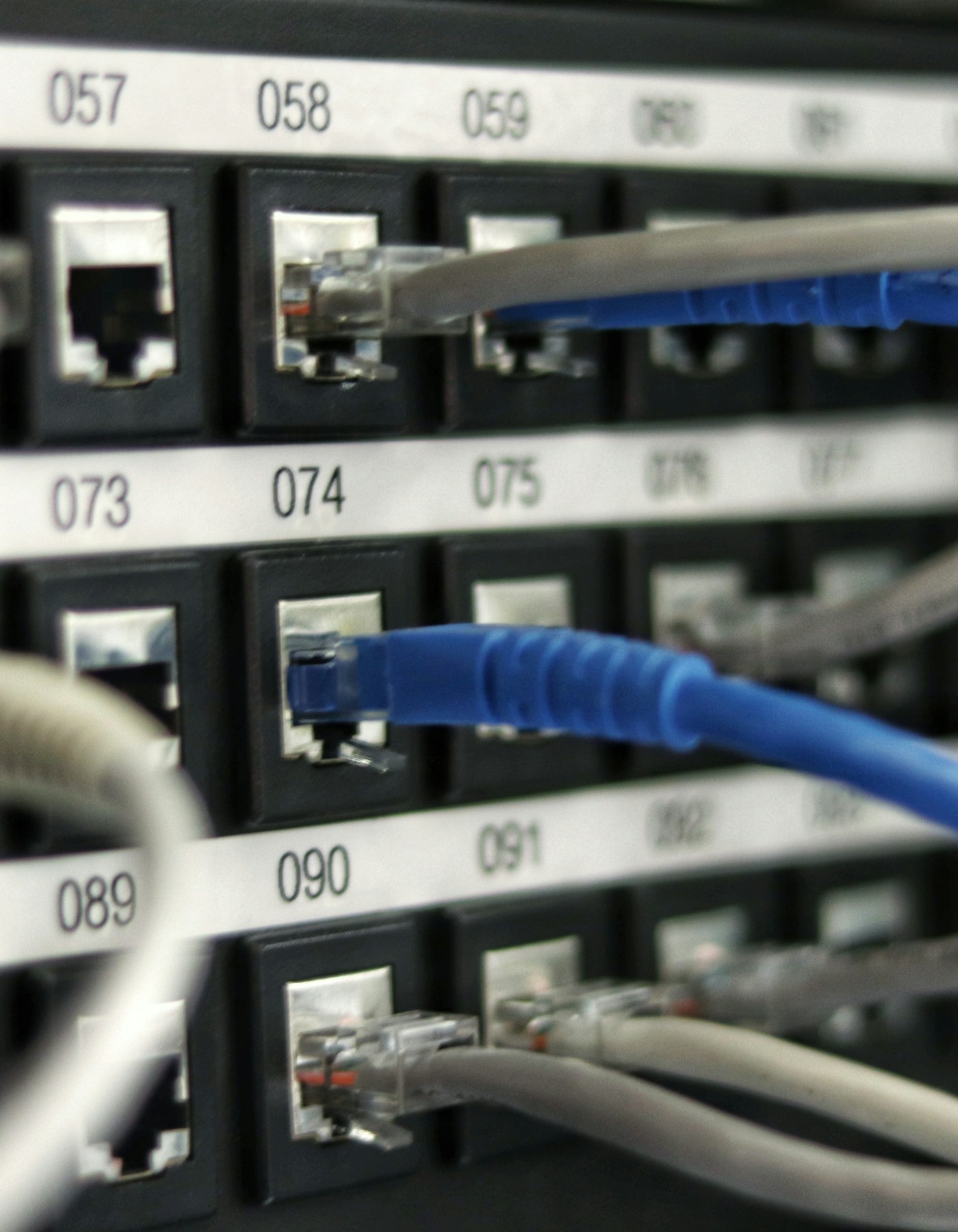 Numbered network patch panel with blue and gray Ethernet cables